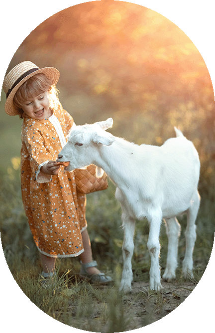 little girl feeding a baby goat from her hand