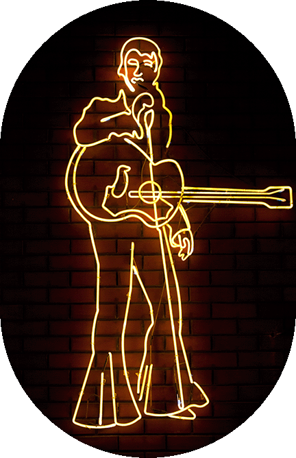 image of a neon elvis sign